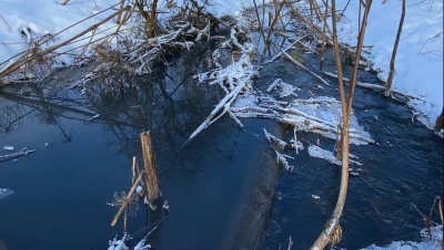 Минэкологии Подмосковья потребовало остановить сброс сточных вод в реку Истру в Красногорске