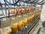 Отлов производителей щуки для искусственного воспроизводства и пополнения запасов в Московской области