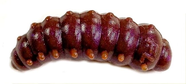 Силиконовая приманка FRESH LURES Mokhnatka 1.2”/30мм Сыр #119 8шт/уп