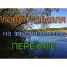 Воблер ZipBaits Rigge 56F 56мм 2.8гр 0.5-1.0м 018R