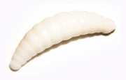 Силиконовая приманка TROUT BAIT Maggot 40мм сыр Белый 10шт/уп