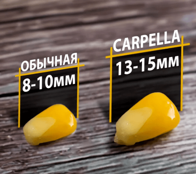 Насадка рыболовная CARPELLA Кукуруза 100гр Анис