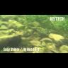 Виброхвост KEITECH Easy Shiner 5" EA#02 Peach Green FLK 12.5см  5шт/уп