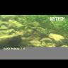 Виброхвост KEITECH Easy Shiner 4" EA# 15 Grape Chart Red FLK 10см 5.3гр 7шт/уп