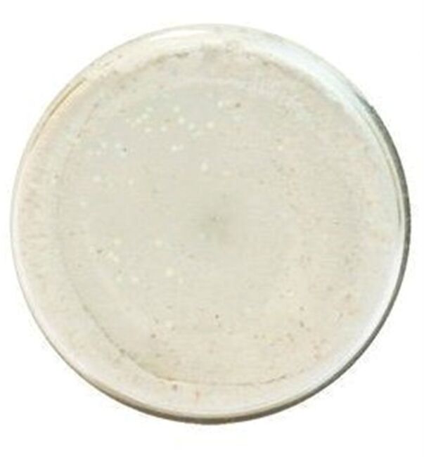 Паста форелевая Berkley Powerbait Extra Scent Glitter Trout Bait (50г) White 1004944