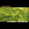 Силиконовая приманка KEITECH Live Impact 3" #321 Gold Shad 7.5см 1.4гр 12шт/уп
