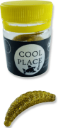 Силиконовая приманка COOL PLACE Maggot 40мм Сыр #6Ц Gold glitter 10шт/уп
