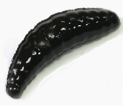 Силиконовая приманка TROUT ZONE Maggot 1.6" черный сыр/щербет 10шт/уп Силиконовая приманка TROUT ZONE Maggot 1.6" черный сыр/щербет 10шт/уп