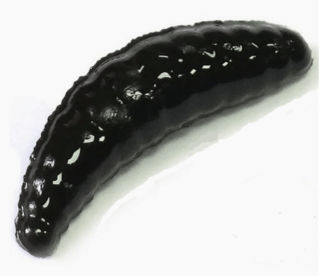 Силиконовая приманка TROUT ZONE Maggot 1.6" черный сыр/щербет 10шт/уп