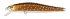 Воблер ZipBaits Rigge 70F 70мм 4.7гр 0.5-1.0м 029R Воблер ZipBaits Rigge 70F 70мм 4.7гр 0.5-1.0м 029R