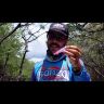 Воблер ZipBaits ZBL Fakie Dog Crazy Walker 90F 90мм 12.0гр поверхностный 529R