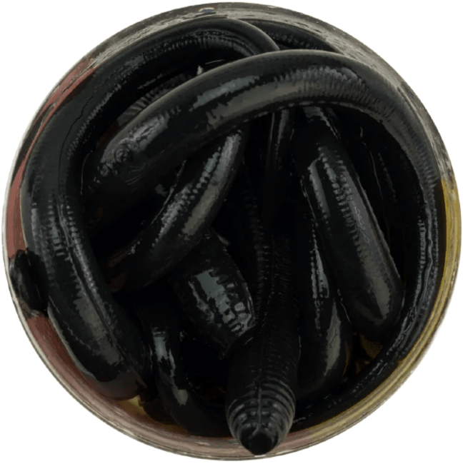 Приманка Berkley Gulp Alive Nightcrawler 3" Black