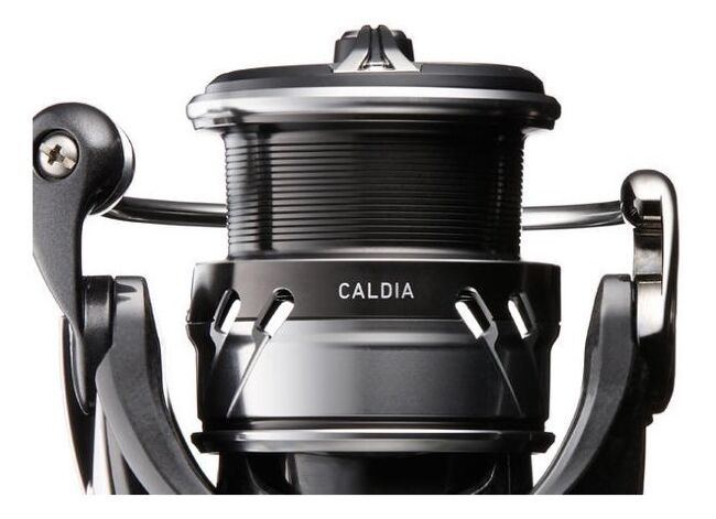 Катушка DAIWA 18 Caldia LT 6000D Катушка DAIWA 18 Caldia LT 6000D
