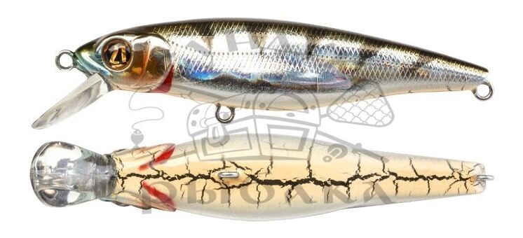 Воблер PONTOON21 GreedyGuts 99SP-SR 99мм 15.4гр  0,9-1,3м 407 CB Crash HG Perch Воблер PONTOON21 GreedyGuts 99SP-SR 99мм 15.4гр  0,9-1,3м 407 CB Crash HG Perch