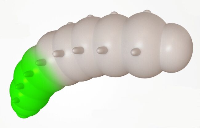 Силиконовая приманка FRESH LURES Mokhnatka 1.8”/45мм Сыр #201 6шт/уп Силиконовая приманка FRESH LURES Mokhnatka 1.8”/45мм Сыр #201 6шт/уп