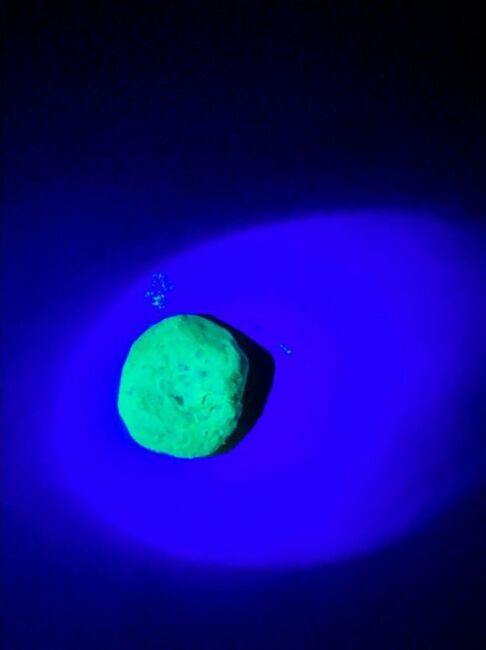 Тесто готовое для рыбалки LION BAITS карась Тесто готовое для рыбалки LION BAITS карась