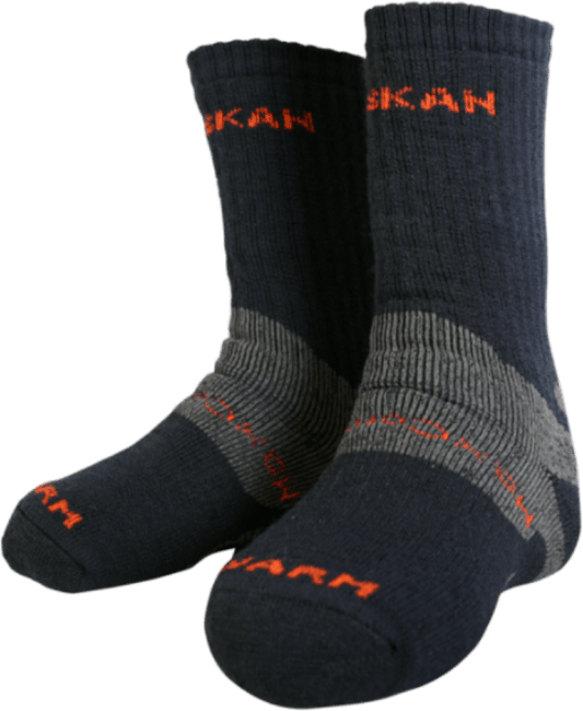 Носки ALASKAN Anatomic р.L blue/grey AESBG-L