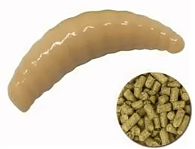 Силиконовая приманка TROUT ZONE Maggot 1.3" коричневый пеллетс 12шт/уп Силиконовая приманка TROUT ZONE Maggot 1.3" коричневый пеллетс 12шт/уп