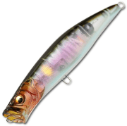 Воблер MEGABASS Chugy-X F 113мм 17.5гр 0.0-0.0м NC Setsuki Ayu