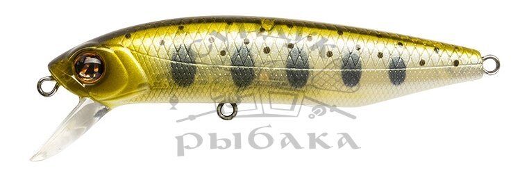 Воблер PONTOON21 Dexter Minnow 71S-SR 71мм 9.75гр  0,8-1,8м 351 Natural Yamame YE Воблер PONTOON21 Dexter Minnow 71S-SR 71мм 9.75гр  0,8-1,8м 351 Natural Yamame YE