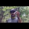 Воблер ZipBaits ZBL DS Fakie Dog Crazy Walker 70F 70мм 8.2гр поверхностный 529R