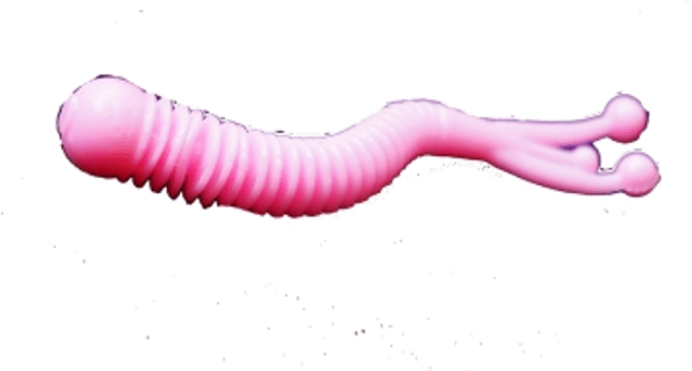 Силиконовая приманка Boroda Baits Jester сыр в ассортименте Силиконовая приманка Boroda Baits Jester сыр в ассортименте