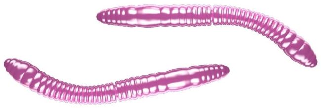 Приманка LIBRA LURES Fatty D'Worm Tournament 55 # 018 Pink Pearl 55мм Сыр 12шт/уп Приманка LIBRA LURES Fatty D'Worm Tournament 55 # 018 Pink Pearl 55мм Сыр 12шт/уп