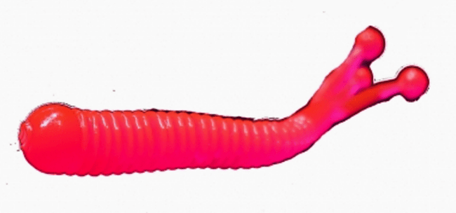 Силикон приманка BORODA BAITS Jester 60мм 1.1гр Огненно-Красн Сыр 10шт/уп Силикон приманка BORODA BAITS Jester 60мм 1.1гр Огненно-Красн Сыр 10шт/уп