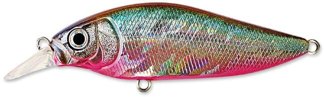 Воблер KOSADAKA Inborn XS 75F 77мм 12.3гр 0.4-0.8м цв:SH InbxS75F-SH Воблер KOSADAKA Inborn XS 75F 77мм 12.3гр 0.4-0.8м цв:SH InbxS75F-SH