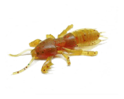 Силиконовая приманка SKELETON FISH Medvedka 3.0" 5шт/уп цв.:11