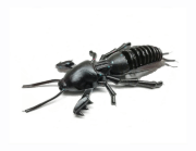 Силиконовая приманка SKELETON FISH Medvedka 2.0" 6шт/уп цв.:01 Силиконовая приманка SKELETON FISH Medvedka 2.0" 6шт/уп цв.:01