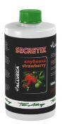 Ароматизатор ALLVEGA Secretix Strawberry 460мл (КЛУБНИКА) Ароматизатор ALLVEGA Secretix Strawberry 460мл (КЛУБНИКА)