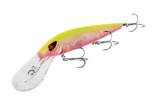 Воблер SMITHWICK Top 20 Rogue SP 139мм 17.7гр 3.6-4.5м (тролл: 6.1-6.7м) Sunrise ADRD5290 Воблер SMITHWICK Top 20 Rogue SP 139мм 17.7гр 3.6-4.5м (тролл: 6.1-6.7м) Sunrise ADRD5290