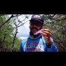 Воблер ZipBaits ZBL Fakie Dog Crazy Walker 90F 90мм 12.0гр поверхностный 065R