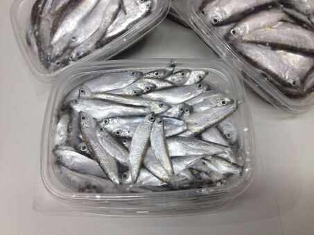 Тюлька стандарт