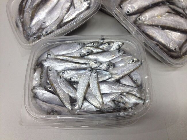 Тюлька стандарт