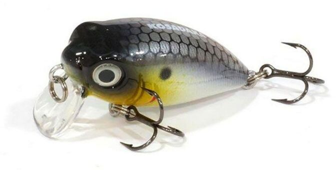 Воблер KOSADAKA Roger Surf 36F 36мм 3.35гр 0.1-0.3м цв:PSSH RgrSF36F-PSSH Воблер KOSADAKA Roger Surf 36F 36мм 3.35гр 0.1-0.3м цв:PSSH RgrSF36F-PSSH