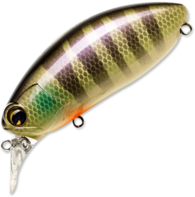 Воблер IMA Roumba Rattler 76F 76мм 14.0гр 0.0-0.4м Z1596 Воблер IMA Roumba Rattler 76F 76мм 14.0гр 0.0-0.4м Z1596