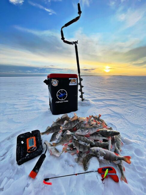 Эхолот ПРАКТИК 7 проводной Эхолот ПРАКТИК 7 проводной