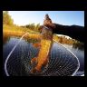 Воблер ZipBaits Khamsin Tiny SR 40SP 40мм 2.8гр 0.0-0.5м 600R