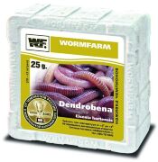 Червь ДЕНДРОБЕНА (Dendrobena) №2 Червь ДЕНДРОБЕНА (Dendrobena) №2