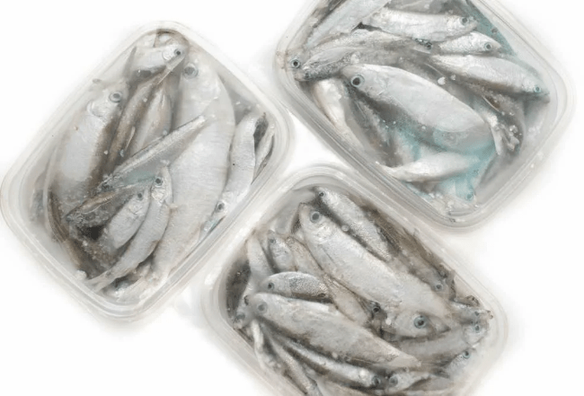 Тюлька Тюлька