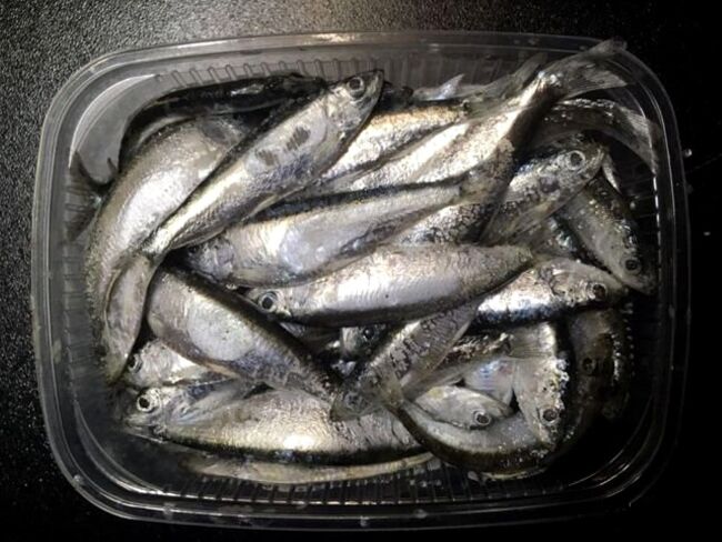 Тюлька Тюлька