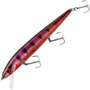 Воблер SMITHWICK Perfect 10 Rogue SP 136мм 17.7гр 2.6-3.6м (тролл: 3.6-4.7м) Geneva ADR5294