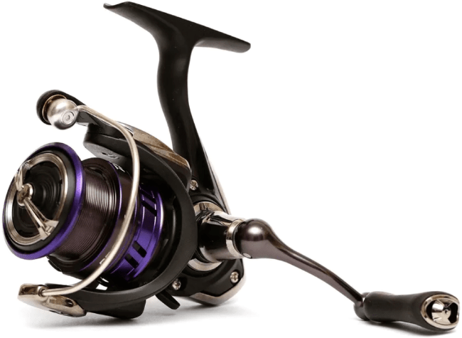 Катушка Daiwa Prorex X LT 2000 Катушка Daiwa Prorex X LT 2000