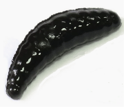 Силиконовая приманка TROUT ZONE Maggot 1.3" черный сыр 12шт/уп Силиконовая приманка TROUT ZONE Maggot 1.3" черный сыр 12шт/уп