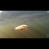 Воблер DUEL Hardcore Shad Crank 0+ 65F 65мм 8.0гр 0.1-0.3м R1183-PHSH