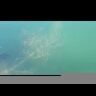 Воблер ZipBaits Rigge Deep 90F 90мм 11.0гр 2.0-2.5м 840R