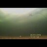 Воблер ZipBaits "Rigge Vib 63" 63мм 8,8гр ZB-RV-63-996