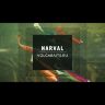 Виброхвост NARVAL Commander Shad 16см 31гр 3шт/уп #032-Motley Fish